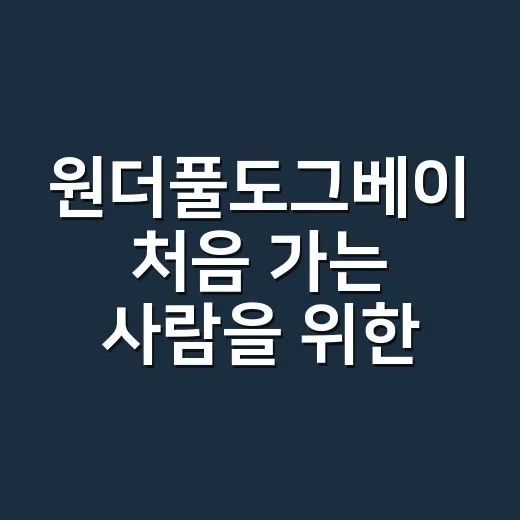 원더풀도그베이 처음 가는 사람을 위한 준비 방법 - 요약