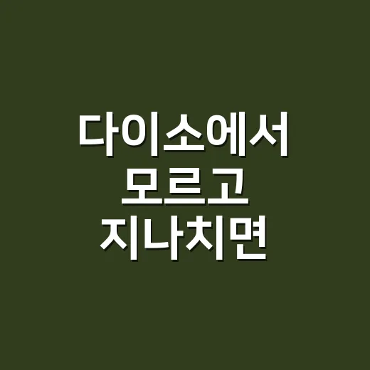 다이소에서 모르고 지나치면 아쉬운 추천템 2가지 고르는 방법 - 요약