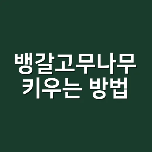 뱅갈고무나무 키우는 방법, 초보자도 오래 건강하게 관리하려면 이렇게 - 요약