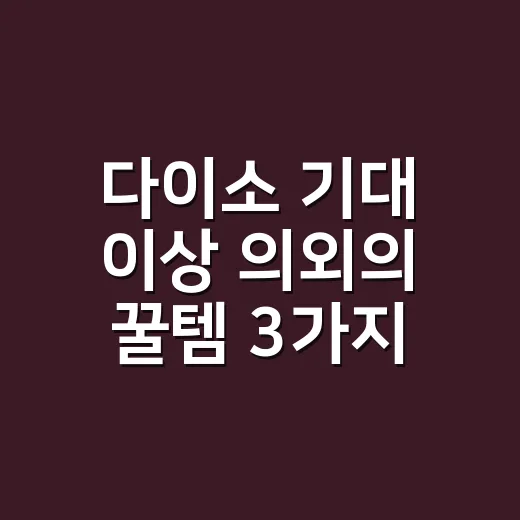 다이소 기대 이상 의외의 꿀템 3가지 제대로 고르는 방법 - 요약