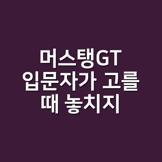 머스탱GT 입문자가 고를 때 놓치지 말아야 할 방법 - 요약