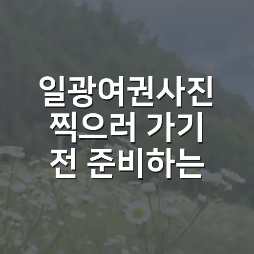 일광여권사진 찍으러 가기 전 준비하는 방법, 규격부터 옷차림까지 - 요약