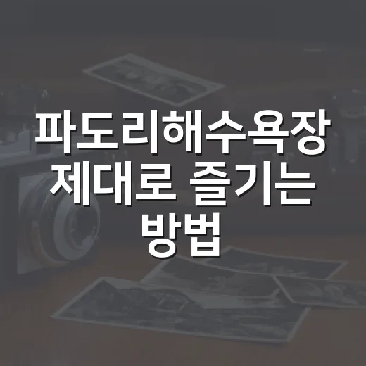 파도리해수욕장 제대로 즐기는 방법, 물때부터 주차까지 챙기기 - 요약