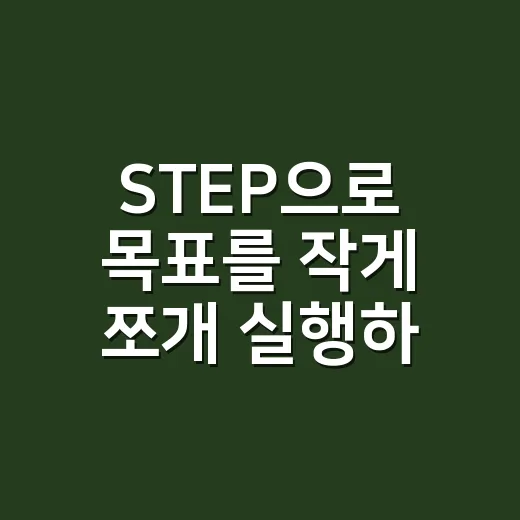 STEP으로 목표를 작게 쪼개 실행하는 방법 - 요약