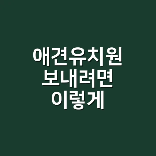 애견유치원 보내려면 이렇게 고르세요: 처음 맡길 때 보는 기준 - 요약