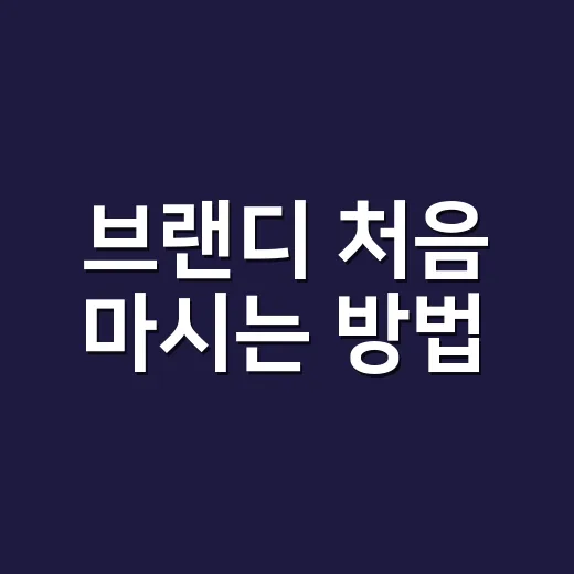 브랜디 처음 마시는 방법, 향부터 안주까지 편하게 즐기려면 이렇게 - 요약