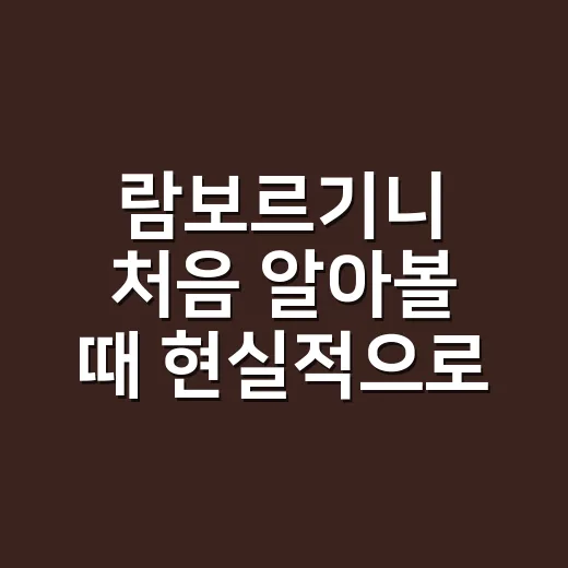 람보르기니 처음 알아볼 때 현실적으로 확인하는 방법 - 요약