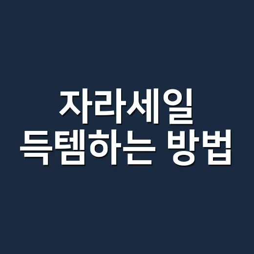 자라세일 득템하는 방법, 사이즈부터 재고 확인까지 이렇게 고르면 됩니다 - 요약