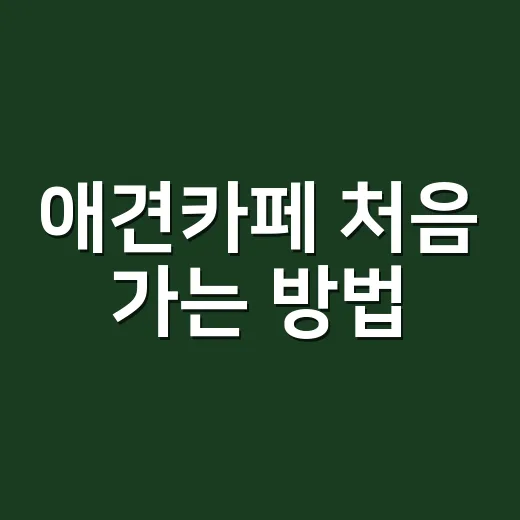 애견카페 처음 가는 방법, 보호자가 챙기면 편해지는 준비와 매너 - 요약