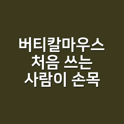 버티칼마우스 처음 쓰는 사람이 손목 편하게 적응하는 방법 - 요약