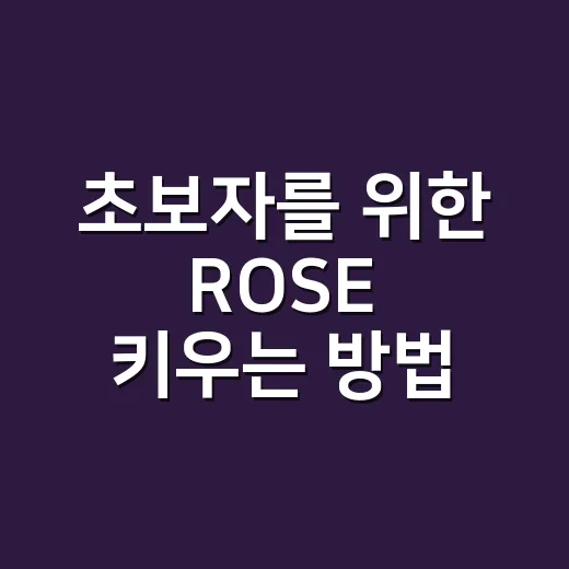초보자를 위한 ROSE 키우는 방법: 물주기부터 가지치기까지 쉽게 시작하기 - 요약