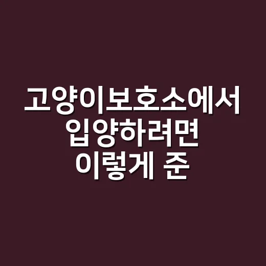 고양이보호소에서 입양하려면 이렇게 준비하세요 - 요약