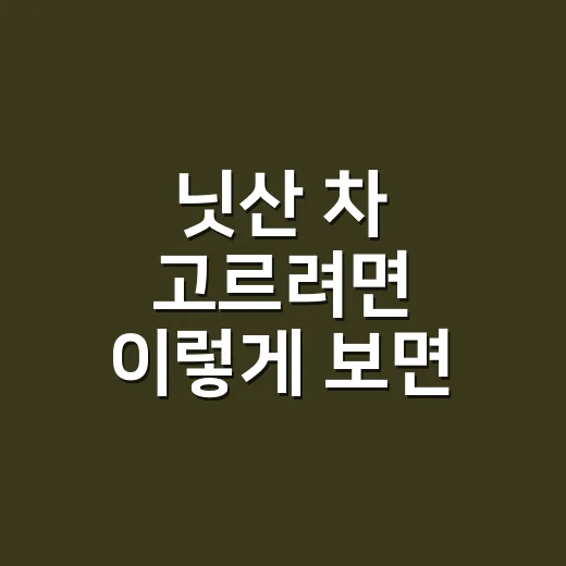 닛산 차 고르려면 이렇게 보면 실패 확률이 줄어듭니다 - 요약