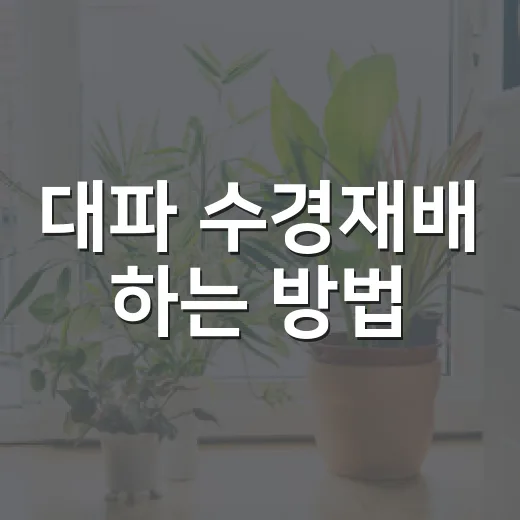 대파 수경재배 하는 방법, 컵 하나로 다시 키우는 초보자 가이드 - 요약