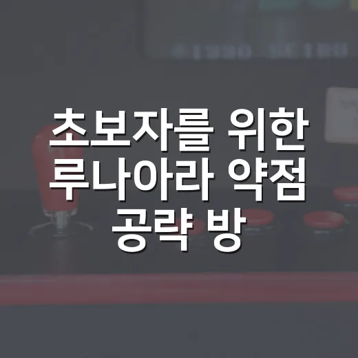 초보자를 위한 루나아라 약점 공략 방법 - 요약