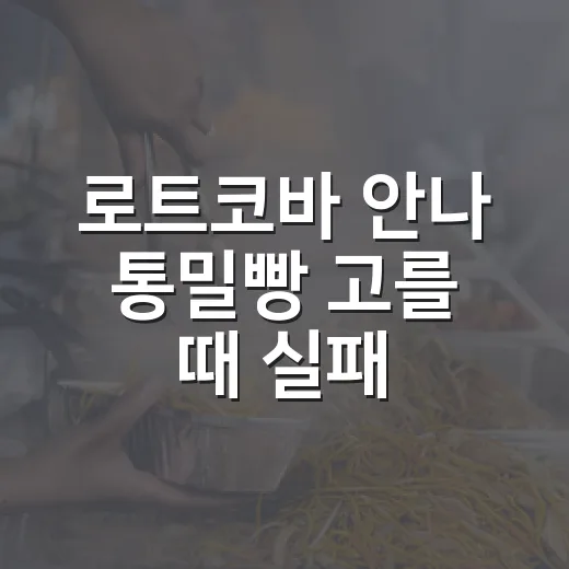로트코바 안나 통밀빵 고를 때 실패 줄이는 방법 - 요약