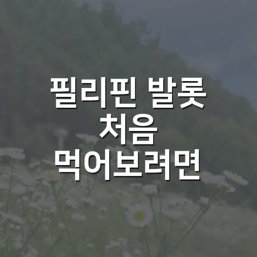 필리핀 발롯 처음 먹어보려면 이렇게 시작하면 덜 당황합니다 - 요약