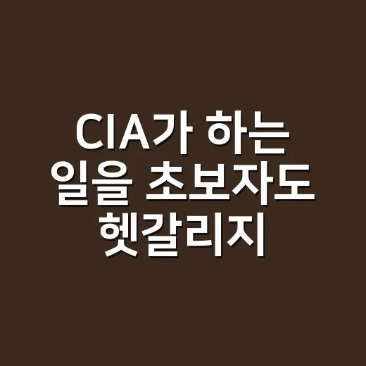 CIA가 하는 일을 초보자도 헷갈리지 않게 이해하는 방법 - 요약