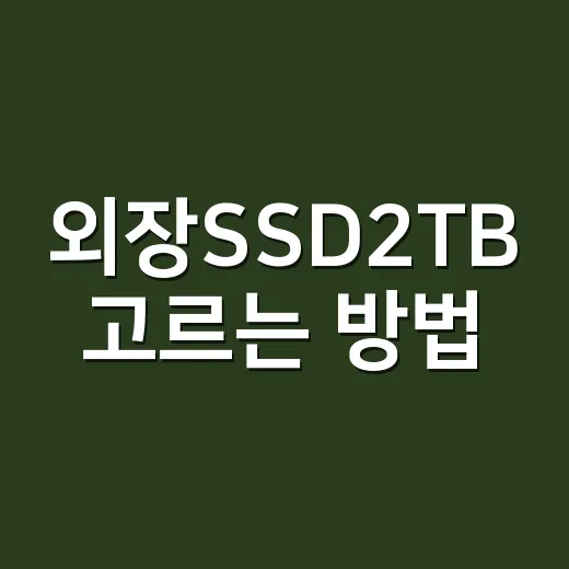 외장SSD2TB 고…