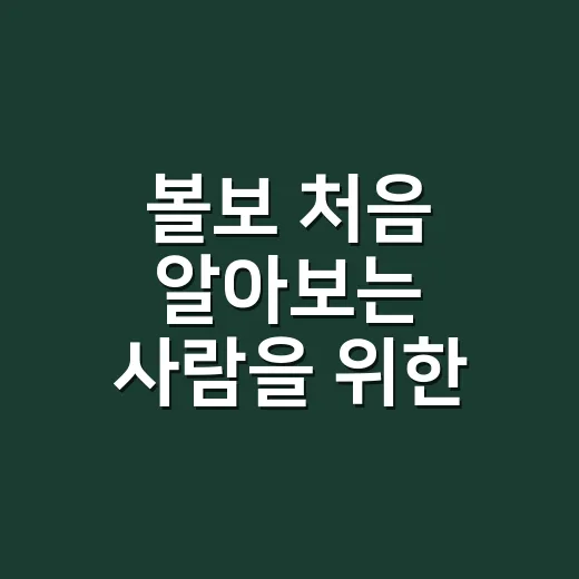 볼보 처음 알아보는 사람을 위한 모델 고르는 방법 - 요약