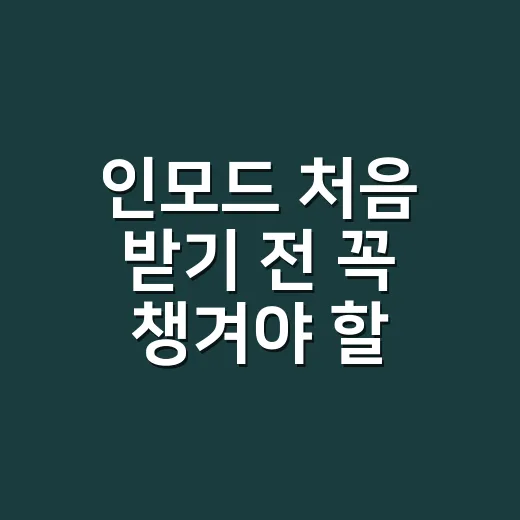 인모드 처음 받기 전 꼭 챙겨야 할 것들, 실패 확률 줄이는 방법 - 요약