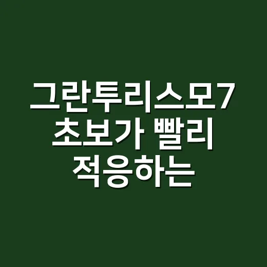 그란투리스모7 초보가 빨리 적응하는 방법 - 요약