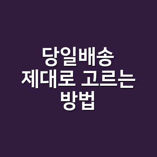 당일배송 제대로 고르는 방법, 급할 때 실패 줄이려면 이렇게 - 요약