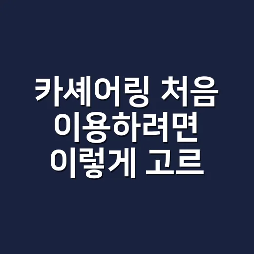 카셰어링 처음 이용하려면 이렇게 고르면 됩니다 - 요약