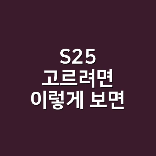 S25 고르려면 이렇게 보면 실패가 적습니다 - 요약