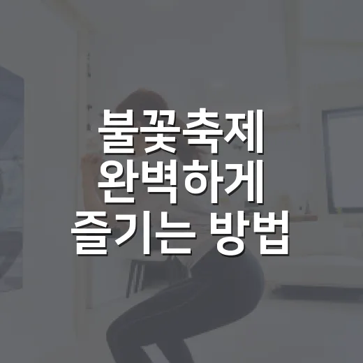 불꽃축제 완벽하게 즐기는 방법 - 요약