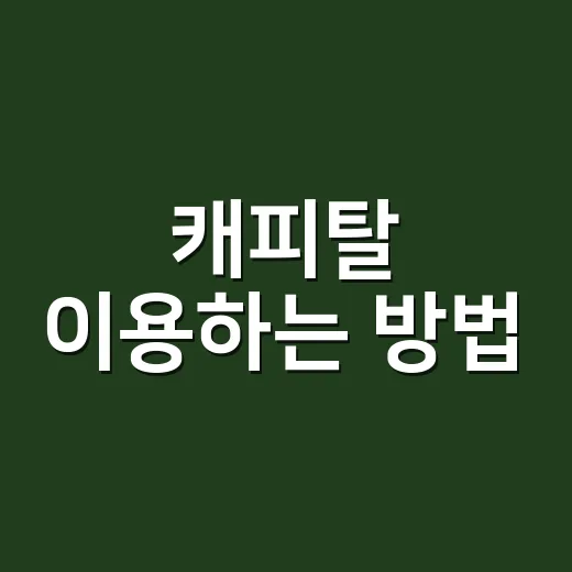 캐피탈 이용하는 방법, 대출 전 꼭 확인할 것들 - 요약