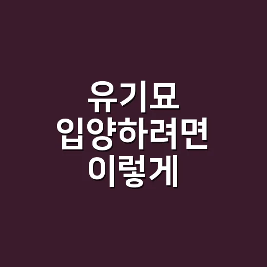 유기묘 입양하려면 이렇게 준비하면 좋아요 - 요약