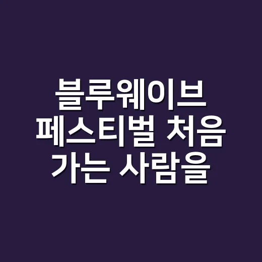 블루웨이브 페스티벌 처음 가는 사람을 위한 준비 방법 - 요약