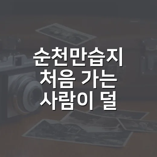 순천만습지 처음 가는 사람이 덜 헤매는 방법 - 요약