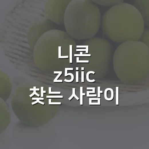 니콘 z5iic 찾는 사람이 구매 시점 잡는 방법 - 요약