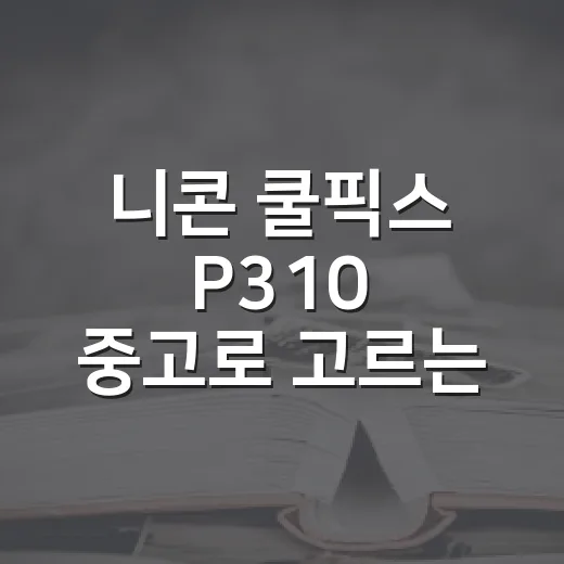 니콘 쿨픽스 P310 중고로 고르는 방법 - 요약