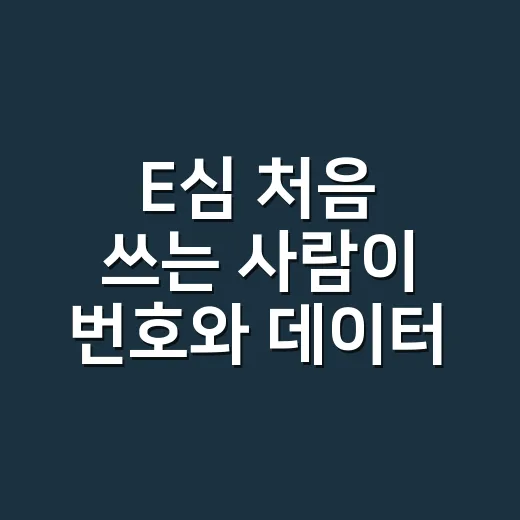 E심 처음 쓰는 사람이 번호와 데이터를 편하게 바꾸는 방법 - 요약