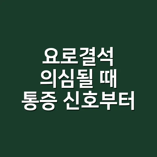 요로결석 의심될 때 통증 신호부터 재발 관리까지 하는 방법 - 요약
