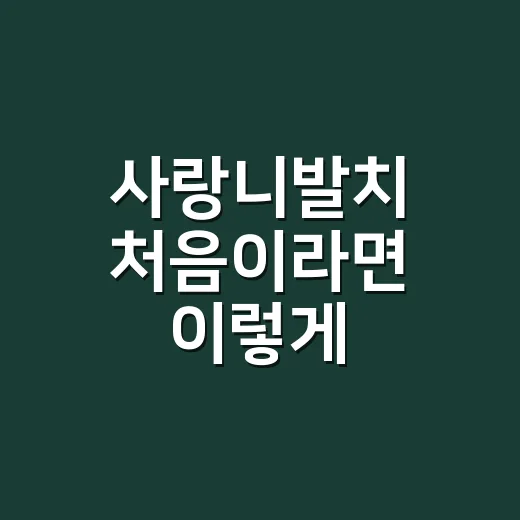 사랑니발치 처음이라면 이렇게 준비하는 방법 - 요약