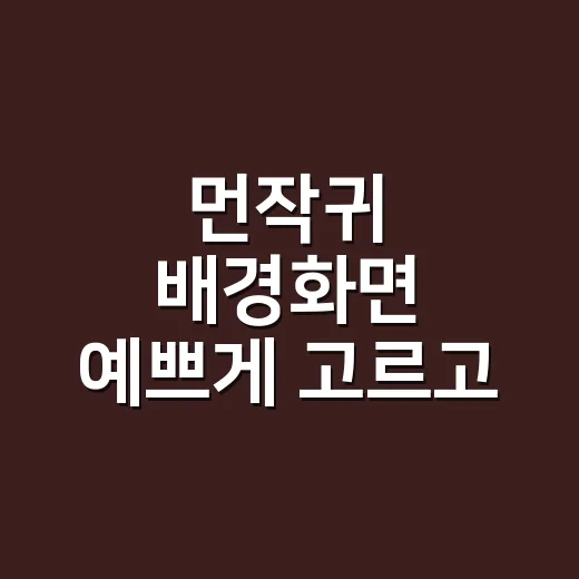 먼작귀 배경화면 예쁘게 고르고 설정하는 방법 - 요약