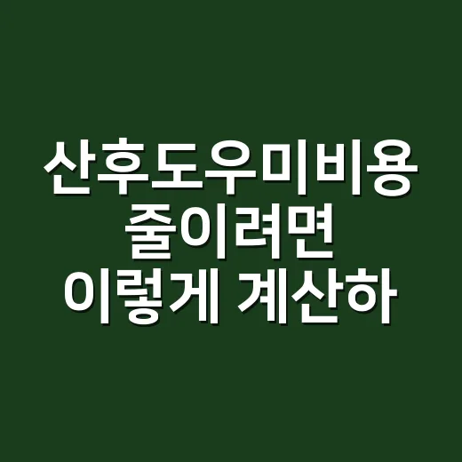 산후도우미비용 줄이려면 이렇게 계산하세요 - 요약