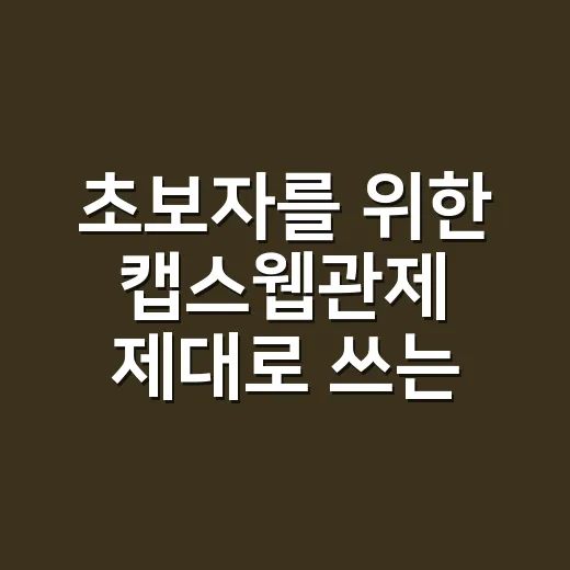 초보자를 위한 캡스웹관제 제대로 쓰는 방법 - 요약