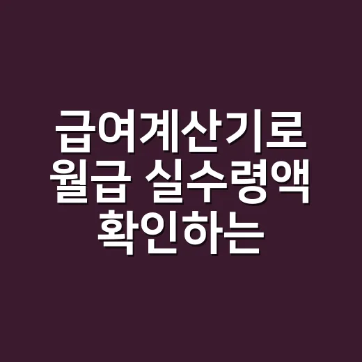 급여계산기로 월급 실수령액 확인하는 방법 - 요약