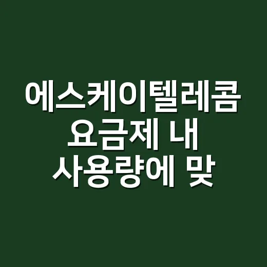 에스케이텔레콤 요금제 내 사용량에 맞게 바꾸는 방법 - 요약