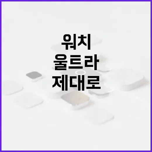 울트라워치 제대로 활용하는 방법 - 요약