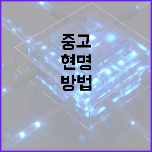 중고맥북을 현명하게 구매하는 방법 - 요약