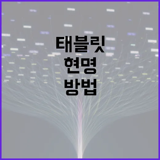 태블릿 렌탈, 현명하게 활용하는 방법 - 요약
