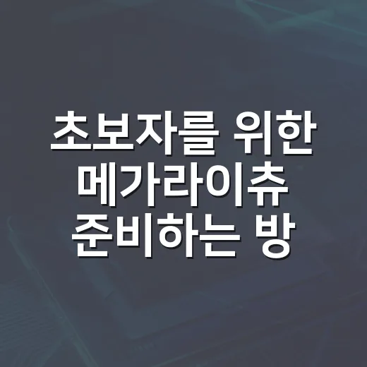 초보자를 위한 메가라이츄 준비하는 방법 - 요약