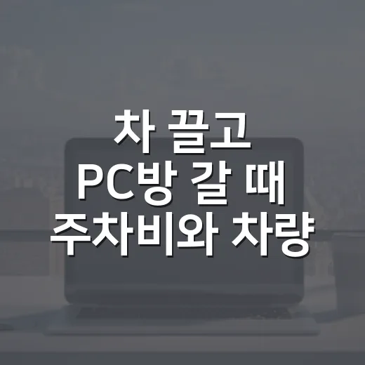 차 끌고 PC방 갈 때 주차비와 차량 관리까지 챙기는 방법 - 요약