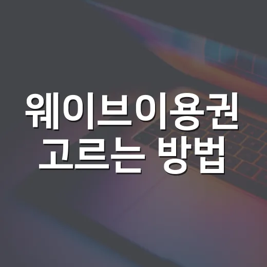 웨이브이용권 고르는 방법, 차 안에서도 쓰려면 이렇게 선택하세요 - 요약